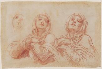 Studies for the Head of the Virgin (recto); Right Arm and Hand (verso)