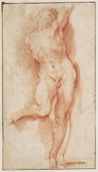 Study of a Standing Male Nude