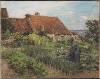 Watering the Garden