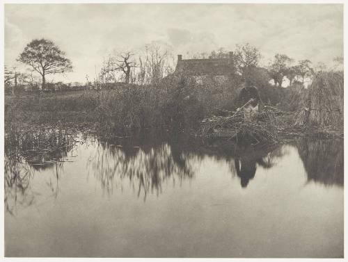 Quanting the Gladdon