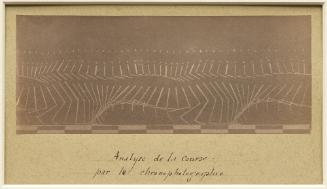 Chronophotographic analysis of a run