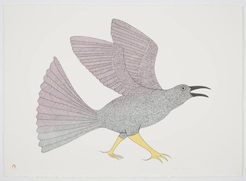 Tulugak from Lithographs by Kenojuak