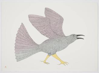 Tulugak from Lithographs by Kenojuak