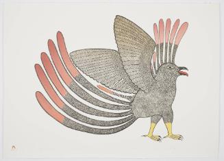 Proud Young Owl from Lithographs by Kenojuak