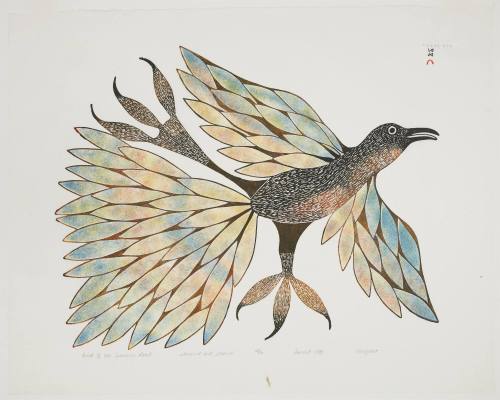 Bird of the Summer Land