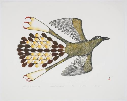 Bird in a Summer Sky