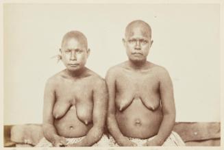 [New Guinea: Widows]   from Oceanic Album