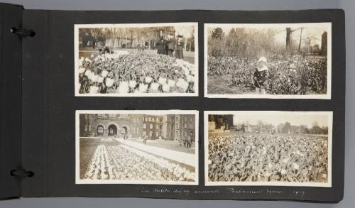 Page 14 of Canada Jan 1917-18 Album