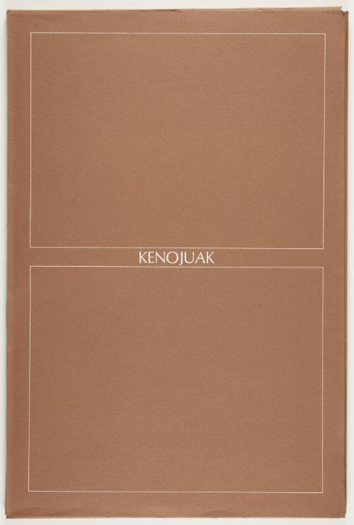 Hawk Combating Spirit from portfolio "Kenojuak"