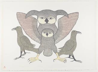 Strong Young Wings from Lithographs by Kenojuak