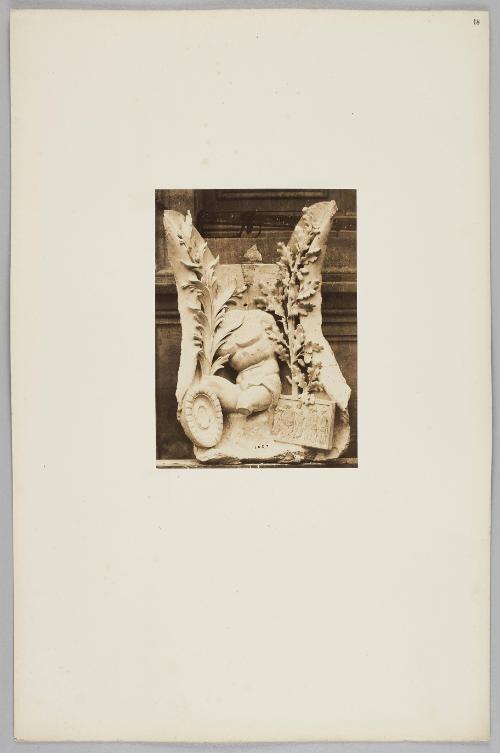 Plate No. 18 - Element No. 1527