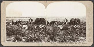 Realistic Travels Stereograph Set: Volume 1: Western Front, Somme 1916, Aviation, Arras 1917, # 56