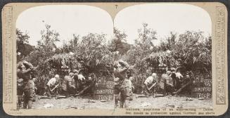 Realistic Travels Stereograph Set: Volume 1, Western Front 1914-15, # 7