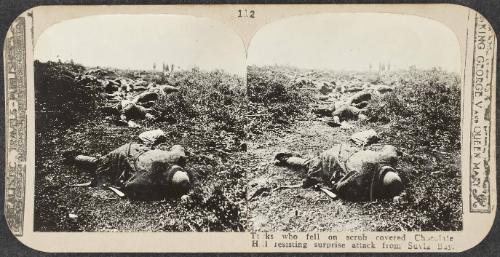 Realistic Travels: Volume I, Other Theatres, Last Battles on the Western Front and War’s End, # 112