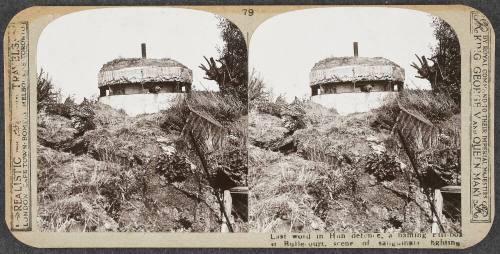 Realistic Travels: Volume I, Other Theatres, Last Battles on the Western Front and War’s End, # 79