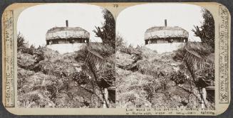 Realistic Travels: Volume I, Other Theatres, Last Battles on the Western Front and War’s End, # 79