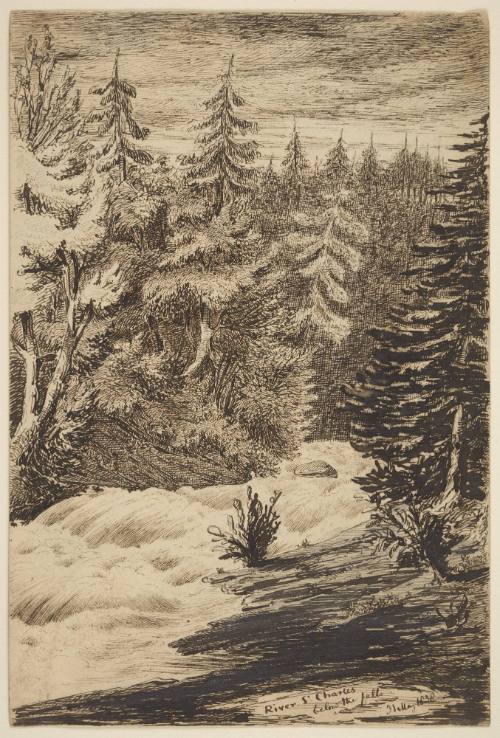 St. Charles River - Canada, below the falls