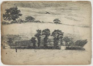 Leaves from Sketch Book