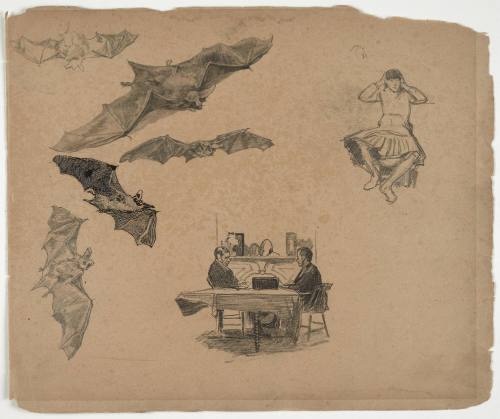 Leaves from Sketch Book