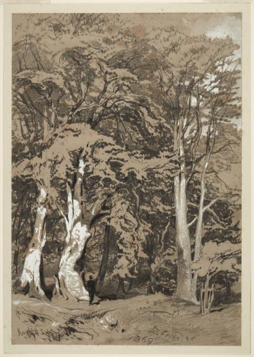 Strolling through the Park at Knole