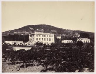 View of a villa with a vineyard in the foreground.