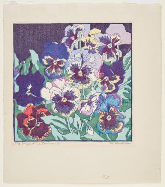 The Inquisitive Pansies