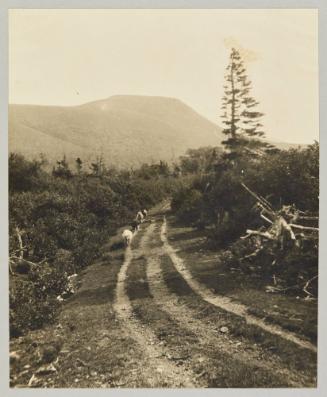 At Little River, Codray Valley, Nfld. [Photograph from Newfoundland Album, Collection of Canadian albums compiled by Edith S. Watson]
