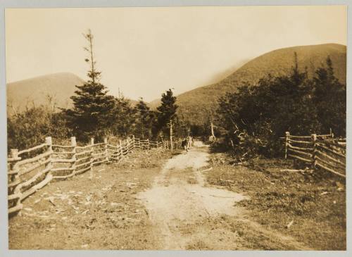 At Little River. Codray, Nfld. Near "Tompkins" [Photograph from Newfoundland Album, Collection of Canadian albums compiled by Edith S. Watson]