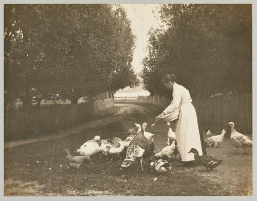 Mrs. Petrie at Birchy Cove, Bay of Is. NFLD.