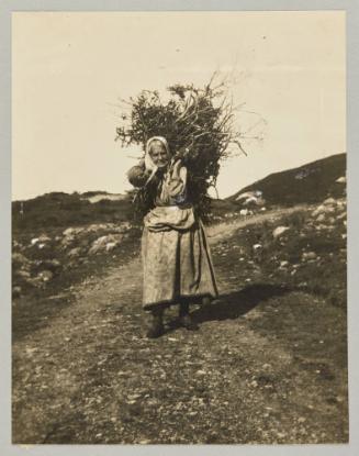 Spruce boughs for firewood in Path End, Burin. Photograph from Newfoundland Album, Collection of Canadian albums compiled by Edith S. Watson
