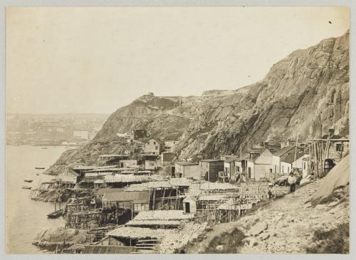 Fish stages, North side, St. John's. Print of Newfoundland from Collection of Canadian albums compiled by Edith S. Watson
