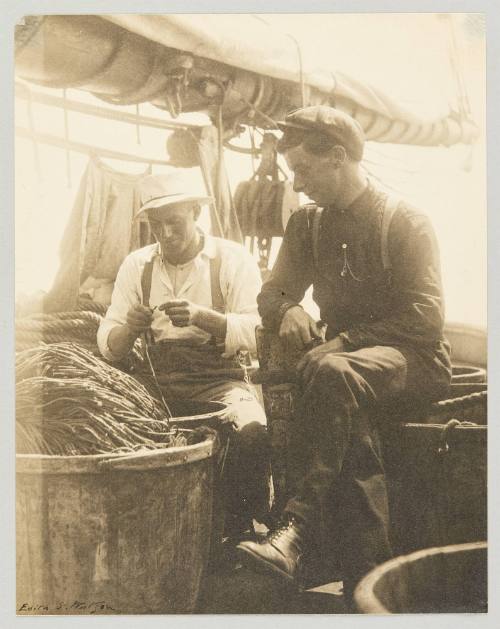 [Notre Dame Bay] Photograph from Newfoundland Album, Collection of Canadian albums compiled by Edith S. Watson 

