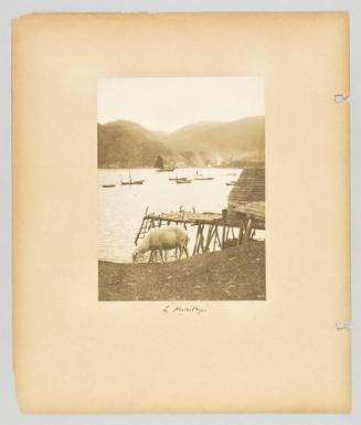 In "Hermitage" Page 25 of Newfoundland from Collection of Canadian albums compiled by Edith S. Watson
