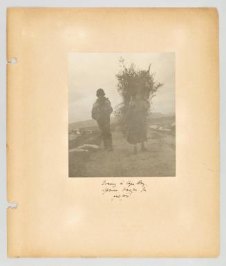 Evening in Cape Ray, spruce boughs for fire wood. [Page 5 of Newfoundland from Collection of Canadian albums compiled by Edith S. Watson]