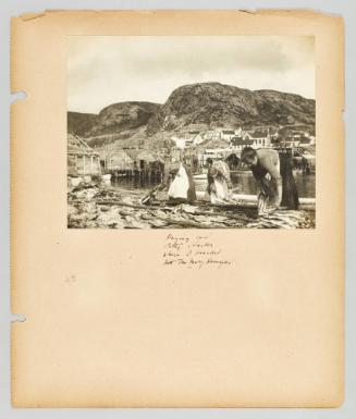 Drying cod, Petty Habor, where I boarded with Mrs. Mary Harmafou. [Page 1 of Newfoundland from Collection of Canadian albums compiled by Edith S. Watson]