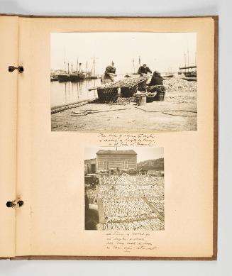 [St. Pierre et Miquelon Caplin] Page 48 of Fish; from collection of Canadian albums compiled by Edith S. Watson, 1890s-1930s [a blank page before this needs a record here, and is acrually page 48]