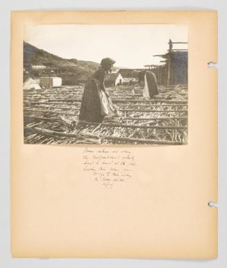 Women ashore all along the Newfoundland coast lend a hand at the fish, leaving their men free to go to their fishing. In Petty Harbor, Nfld. Page 42 of Fish; from collection of Canadian albums compiled by Edith S. Watson, 1890s-1930s