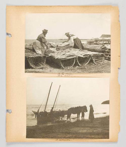 [Beaches] Page 35 of Fish; from collection of Canadian albums compiled by Edith S. Watson, 1890s-1930s