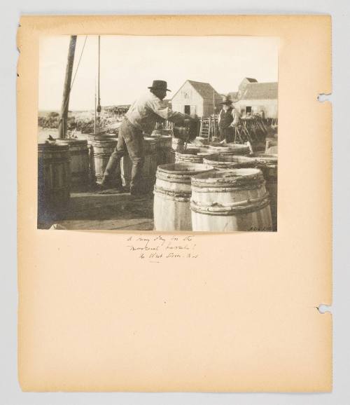 A busy day for the mackerel barrels! In West Dover, N.S. Page 34 of Fish; from collection of Canadian albums compiled by Edith S. Watson, 1890s-1930s