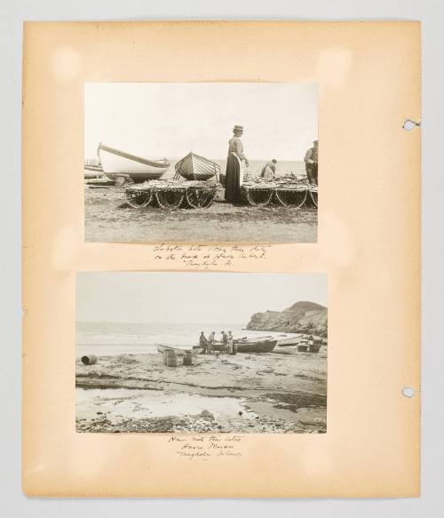 [Lobster life in the Magdalens] Page 30 of Fish; from collection of Canadian albums compiled by Edith S. Watson, 1890s-1930s