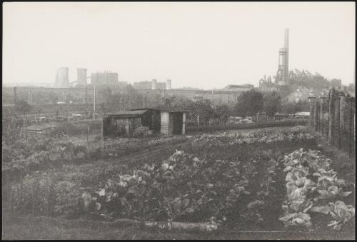 Allotment with industrial chimneys on the horizon