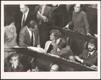 Politicians including Carla Gravina sitting at Parliment