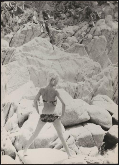 Summer Holidays on the coast