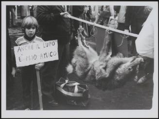 An anti hunting and animal captivity protest. A young boy holds up a placard stating 'The wolf is my friend'. A dead wolf is tied to a pole next to him.