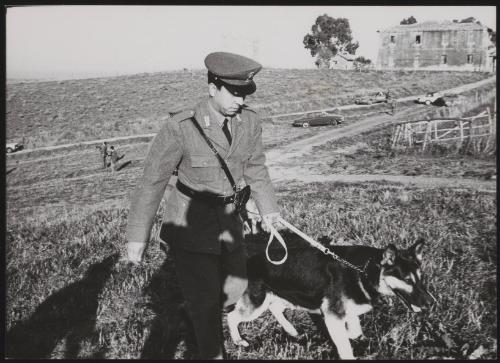 Policeman and sniffer dog search the countryside around a church, the Sanctuary of Divine Love, in search for plane-jacker Raffaele Minichiello