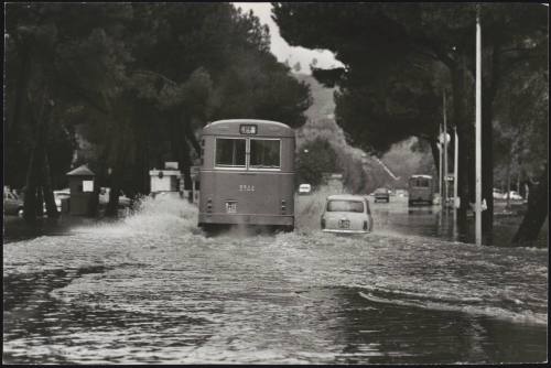 A bus drives through flood waters