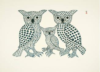 Winter Owls