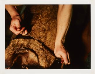 Documentation of the ritual process, stage 1.31