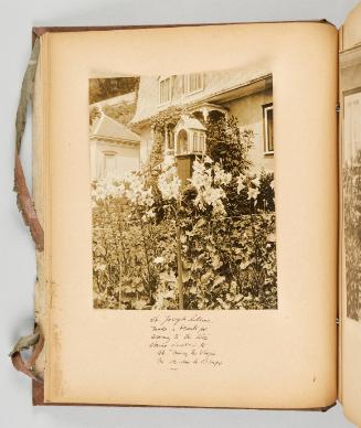 St. Joseph lilies make a beautiful setting to the little shrine devoted to St. Mary the Virgin. In Ste. Anne de Beaupré. [Page 16 of Quebec I; from collection of Canadian albums compiled by Edith S. Watson, 1890s-1930s]
