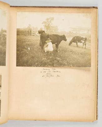 Milking time on the old Bolduc farm, St. Joachim, Que. Page 17 of Quebec II; from collection of Canadian albums compiled by Edith S. Watson, 1890s-1930s
